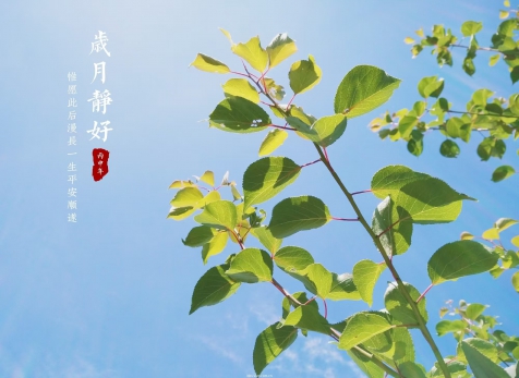 愿歲月靜好，山河無恙